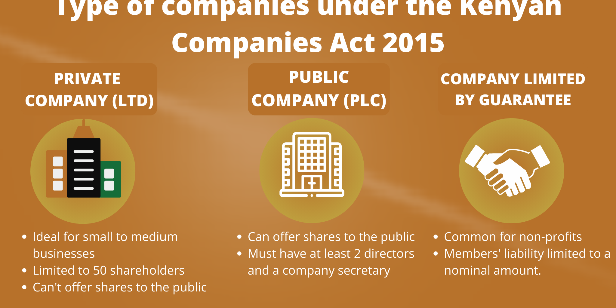 Type of companies under the Kenyan Companies Act 2015 Type of companies under the Kenyan Companies Act 2015